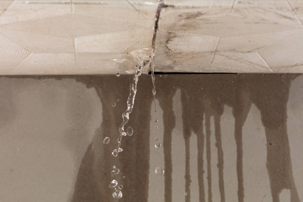 Professional Water Damage Repair technician working in East Sparta, OH